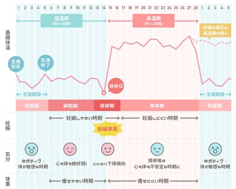 妊娠危険日計算|生理周期計算ツール